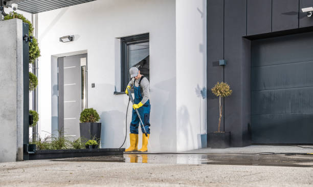 Best Soft Washing  in Merrillville, IN